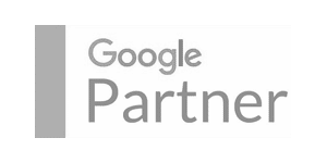 Google Partner logo